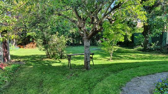 20230819_170633_(reduit25p100)