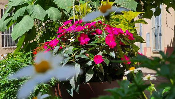 20230708_115958_(reduit25p100)