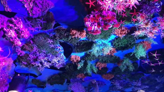 20231109_215914_(reduit25p100)