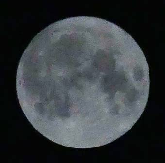 P1263876_(reduit50p100)_ret