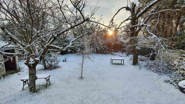 20240118_093156_(reduit20p100)