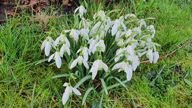 20240215_094510_(reduit20p100)