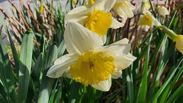 20240217_151911_(reduit20p100)