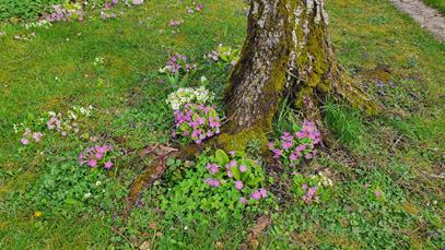20240310_153204_(reduit20p100)