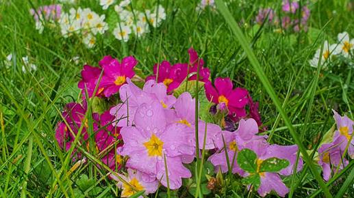 20240310_153300_(reduit20p100)