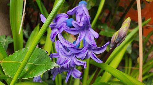 20240310_153322_(reduit20p100)