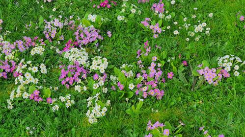 20240315_171800_(reduit20p100)