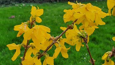 20240316_173612_(reduit20p100)