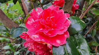 20240316_173721_(reduit20p100)