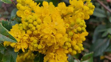 20240316_173805_(reduit20p100)