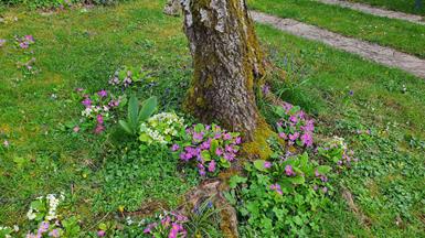 20240316_173915_(reduit20p100)