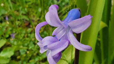 20240316_174115_(reduit20p100)