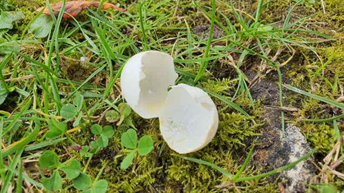 20240320_141342_(reduit20p100)