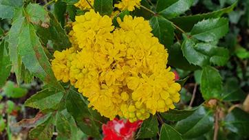 20240320_141606_(reduit20p100)