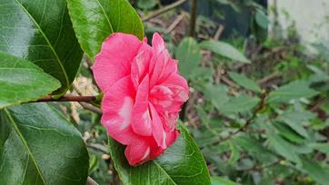 20240320_141624_(reduit20p100)