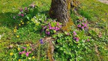 20240320_141807_(reduit20p100)