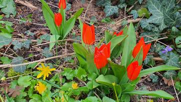 20240325_181856_(reduit20p100)