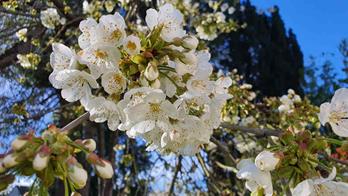 20240331_103248_(reduit20p100)