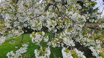 20240407_144459_(reduit20p100)