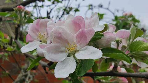 20240407_144641_(reduit20p100)