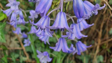 20240407_144832_(reduit20p100)