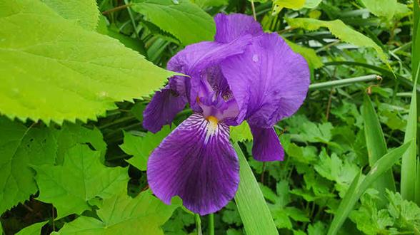 20240430_164315_(reduit20p100)