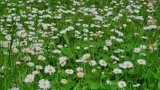 20240430_164358_(reduit20p100)