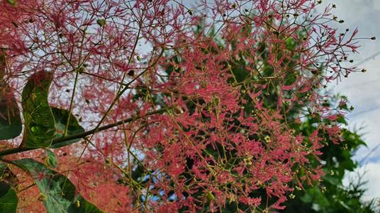 20240521_192130_(reduit20p100)