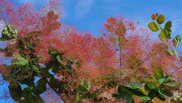 20240524_175658_(reduit20p100)
