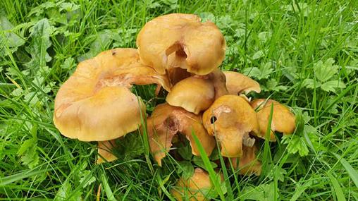 20241019_145109_(reduit20p100)