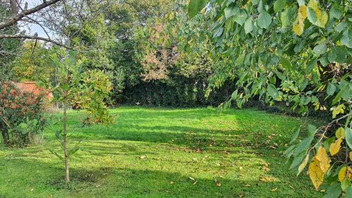 20241101_143244_(reduit20p100)