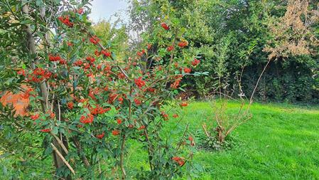 20241101_143407_(reduit20p100)