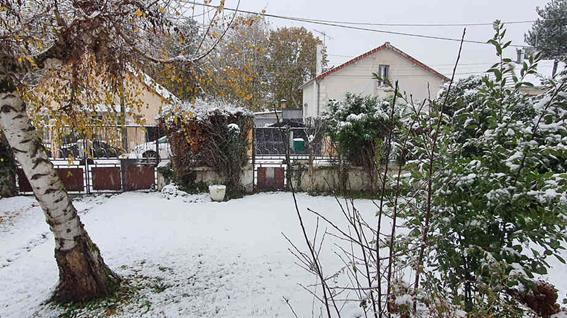 20241121_160358_(reduit20p100)