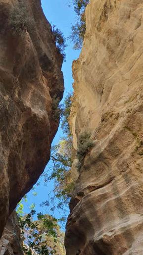 20240720_120405_(reduit20p100)