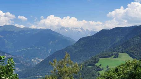 20240801_145250_(reduit20p100)