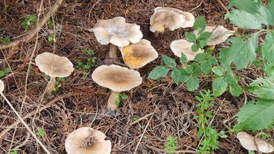 20241026_162935_(reduit20p100)