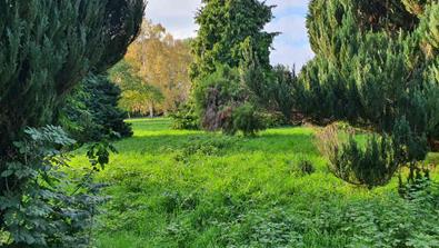 20241026_163022_(reduit20p100)