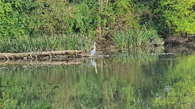 20241026_165953_(reduit20p100)