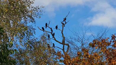 20241026_171843_(reduit20p100)