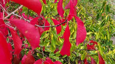 20241026_174628_(reduit20p100)