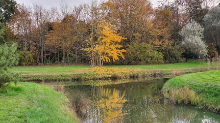 20241116_165620_(reduit20p100)