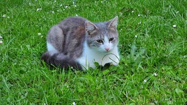 20240512_211227_(reduit20p100)