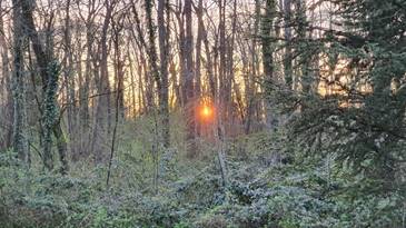 20250329_191202_red-20p100