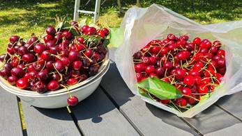20250613_113520_red-20p100