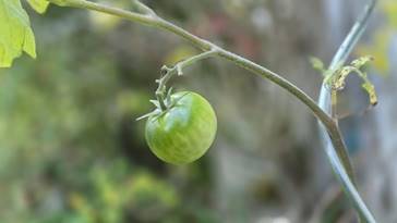 20251031_163857_red-20p100