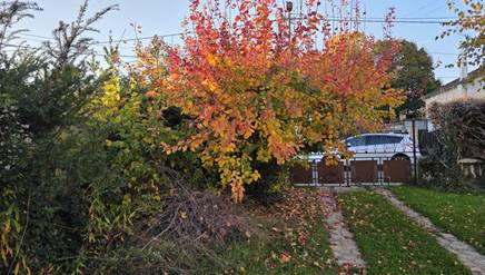 20251031_163353_red-20p100
