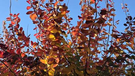 20251031_163404_red-20p100