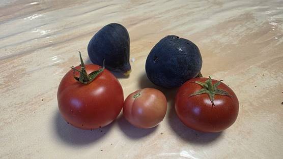 20251031_165019_red-20p100