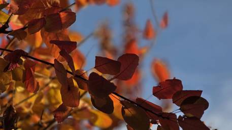 20251101_163436_red-20p100