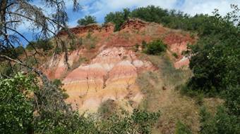P1341324_red-20p100